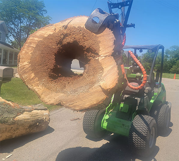 Professional tree removal provided by Tree Huggers in Commerce, Michigan
