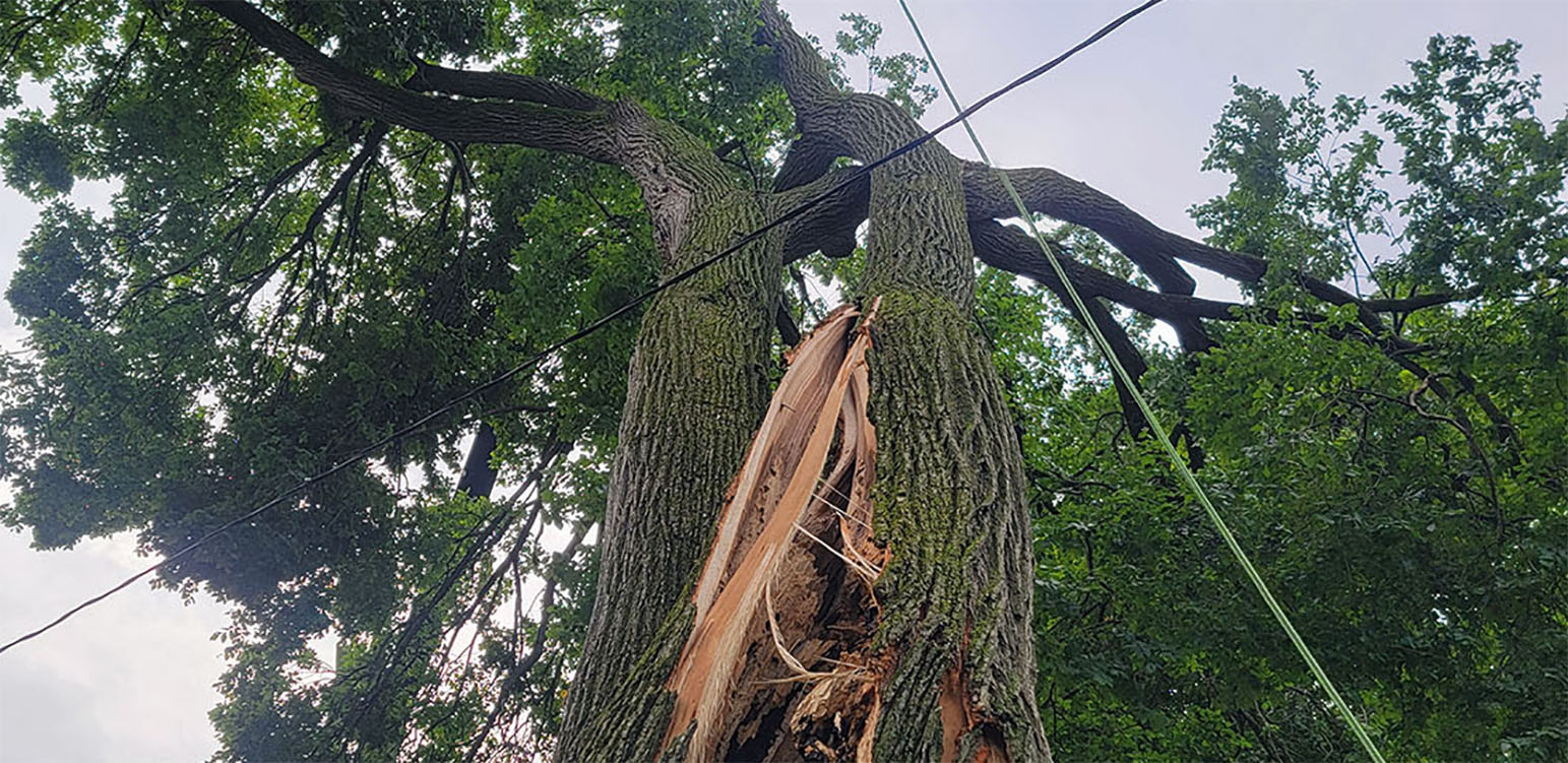 storm damage services at Tree Huggers in Commerce, Michigan